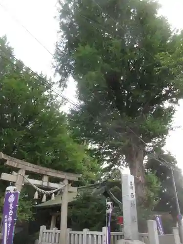 葛西神社の鳥居