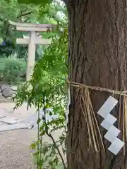 安居神社の建物その他