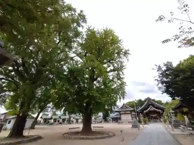 八幡社(寺津八幡社)(愛知県)