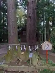 間々田八幡宮の自然