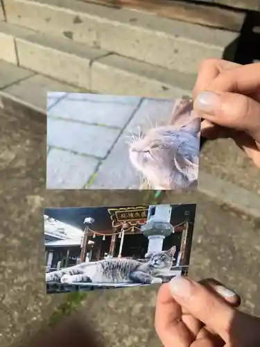 荘内神社の授与品その他