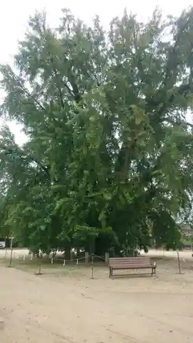 吉備津神社(広島県)
