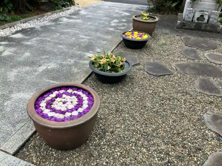 覚源院の{uncategorized: "未分類", other: "その他", undefined: "問題あり", building: "その他建物", grave: "お墓", sacred_gate: "鳥居", guardian: "狛犬", statue: "像", buddha: "仏像", history: "歴史", nature: "自然", garden: "庭園", animal: "動物", pagoda: "塔", temizu: "手水舎", mountain_gate: "山門・神門", sanctuary: "本殿・本堂", subordinate: "末社・摂社", art: "芸術", scenery: "景色", jizo: "地蔵", ema: "絵馬", goshuin: "御朱印", omikuji: "おみくじ", items: "授与品その他", amulet: "お守り", goshuincho: "御朱印帳", eats: "食事", festival: "お祭り", votive_dance: "神楽", shichigosan: "七五三参", wedding: "結婚式", experience: "体験その他", initially: "初詣", around: "周辺", anti_infection: "感染症対策"}