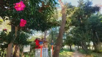 尾張猿田彦神社のその他建物