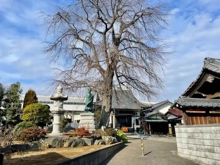 伝法寺の{uncategorized: "未分類", other: "その他", undefined: "問題あり", building: "その他建物", grave: "お墓", sacred_gate: "鳥居", guardian: "狛犬", statue: "像", buddha: "仏像", history: "歴史", nature: "自然", garden: "庭園", animal: "動物", pagoda: "塔", temizu: "手水舎", mountain_gate: "山門・神門", sanctuary: "本殿・本堂", subordinate: "末社・摂社", art: "芸術", scenery: "景色", jizo: "地蔵", ema: "絵馬", goshuin: "御朱印", omikuji: "おみくじ", items: "授与品その他", amulet: "お守り", goshuincho: "御朱印帳", eats: "食事", festival: "お祭り", votive_dance: "神楽", shichigosan: "七五三参", wedding: "結婚式", experience: "体験その他", initially: "初詣", around: "周辺", anti_infection: "感染症対策"}