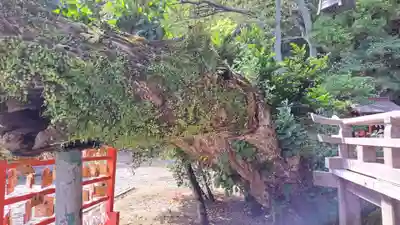 住吉神社(福島県)