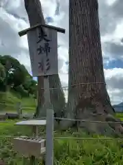 車神社の自然