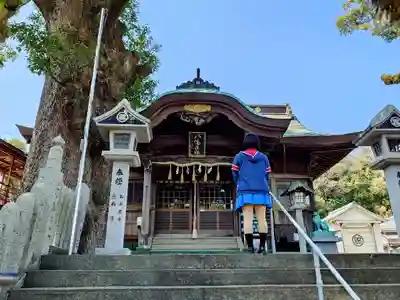 津田八幡神社の本殿・本堂