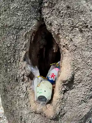 阿邪訶根神社(福島県)