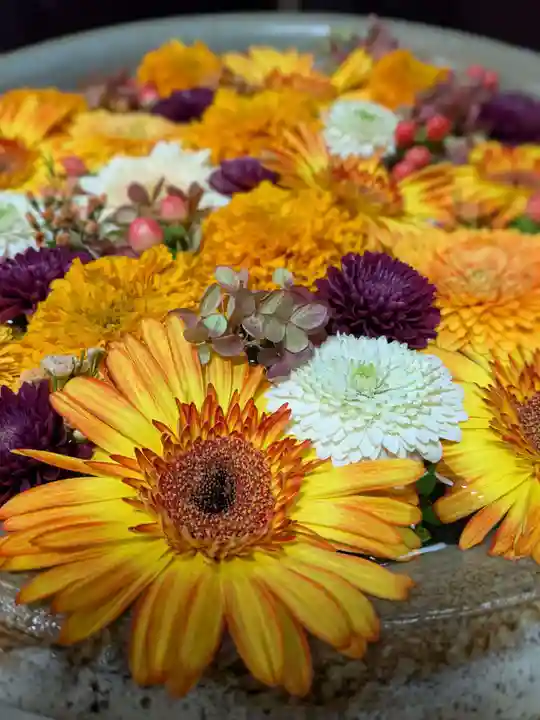 心行寺(東京都)