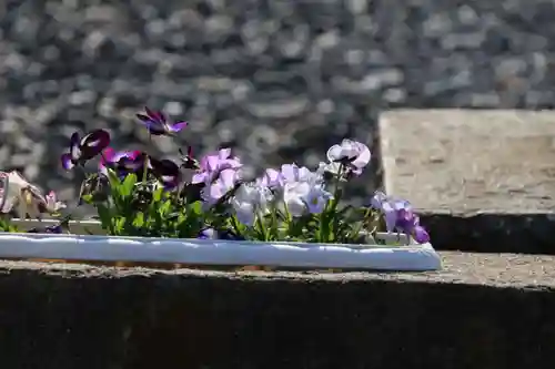 熊野福藏神社の自然