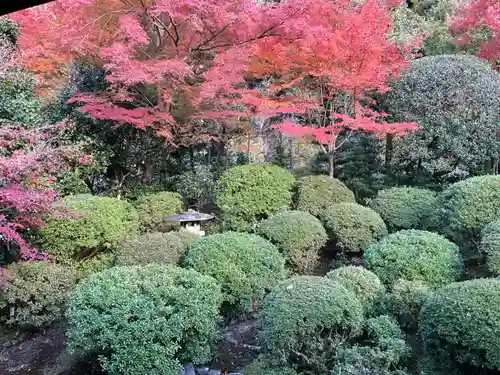 安楽寺(京都府)
