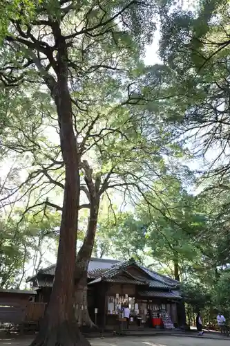 氷川女體神社のその他建物