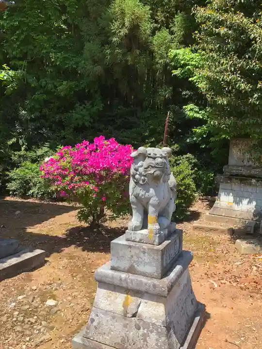 八幡神社(福井県)
