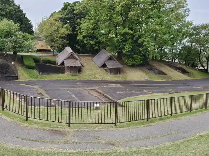 泉竜寺(乙女不動尊)の周辺