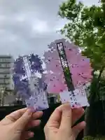 法輪寺の{uncategorized: "未分類", other: "その他", undefined: "問題あり", building: "その他建物", grave: "お墓", sacred_gate: "鳥居", guardian: "狛犬", statue: "像", buddha: "仏像", history: "歴史", nature: "自然", garden: "庭園", animal: "動物", pagoda: "塔", temizu: "手水舎", mountain_gate: "山門・神門", sanctuary: "本殿・本堂", subordinate: "末社・摂社", art: "芸術", scenery: "景色", jizo: "地蔵", ema: "絵馬", goshuin: "御朱印", omikuji: "おみくじ", items: "授与品その他", amulet: "お守り", goshuincho: "御朱印帳", eats: "食事", festival: "お祭り", votive_dance: "神楽", shichigosan: "七五三参", wedding: "結婚式", experience: "体験その他", initially: "初詣", around: "周辺", anti_infection: "感染症対策"}