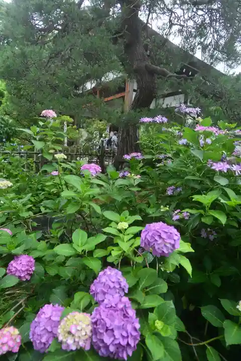 高幡不動尊 金剛寺(東京都)