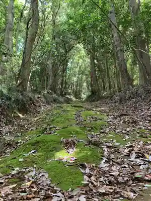 大杉神社(千葉県)
