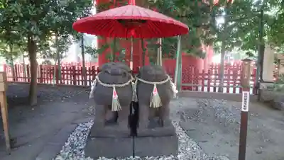 浅草神社の狛犬