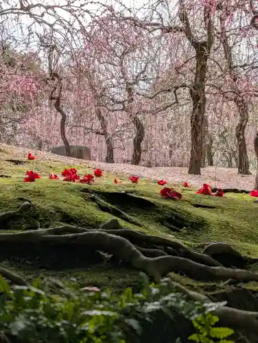 城南宮の{uncategorized: "未分類", other: "その他", undefined: "問題あり", building: "その他建物", grave: "お墓", sacred_gate: "鳥居", guardian: "狛犬", statue: "像", buddha: "仏像", history: "歴史", nature: "自然", garden: "庭園", animal: "動物", pagoda: "塔", temizu: "手水舎", mountain_gate: "山門・神門", sanctuary: "本殿・本堂", subordinate: "末社・摂社", art: "芸術", scenery: "景色", jizo: "地蔵", ema: "絵馬", goshuin: "御朱印", omikuji: "おみくじ", items: "授与品その他", amulet: "お守り", goshuincho: "御朱印帳", eats: "食事", festival: "お祭り", votive_dance: "神楽", shichigosan: "七五三参", wedding: "結婚式", experience: "体験その他", initially: "初詣", around: "周辺", anti_infection: "感染症対策"}