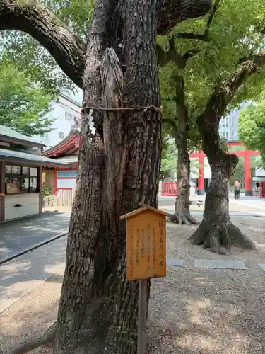 御霊神社(大阪府)