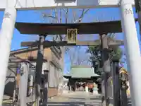 守谷総鎮守 八坂神社(茨城県)