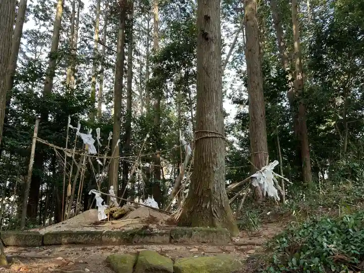 能義神社の{uncategorized: "未分類", other: "その他", undefined: "問題あり", building: "その他建物", grave: "お墓", sacred_gate: "鳥居", guardian: "狛犬", statue: "像", buddha: "仏像", history: "歴史", nature: "自然", garden: "庭園", animal: "動物", pagoda: "塔", temizu: "手水舎", mountain_gate: "山門・神門", sanctuary: "本殿・本堂", subordinate: "末社・摂社", art: "芸術", scenery: "景色", jizo: "地蔵", ema: "絵馬", goshuin: "御朱印", omikuji: "おみくじ", items: "授与品その他", amulet: "お守り", goshuincho: "御朱印帳", eats: "食事", festival: "お祭り", votive_dance: "神楽", shichigosan: "七五三参", wedding: "結婚式", experience: "体験その他", initially: "初詣", around: "周辺", anti_infection: "感染症対策"}