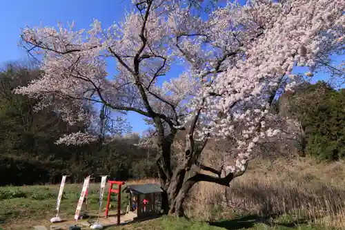 宇賀神さまの庭園