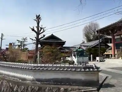 円照寺(大阪府)