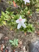 瀬辺了泉寺(愛知県)