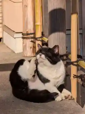 白金氷川神社(東京都)