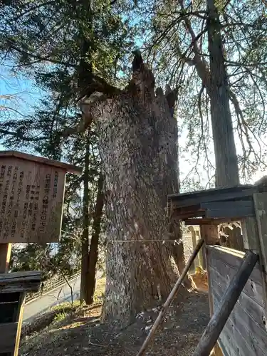 若宮八幡神社(山梨県)