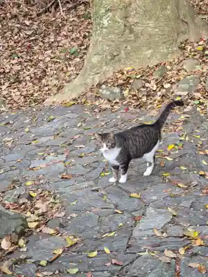 鵜戸神社(大御神社境内社)(宮崎県)