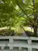 土津神社|こどもと出世の神さまの{uncategorized: "未分類", other: "その他", undefined: "問題あり", building: "その他建物", grave: "お墓", sacred_gate: "鳥居", guardian: "狛犬", statue: "像", buddha: "仏像", history: "歴史", nature: "自然", garden: "庭園", animal: "動物", pagoda: "塔", temizu: "手水舎", mountain_gate: "山門・神門", sanctuary: "本殿・本堂", subordinate: "末社・摂社", art: "芸術", scenery: "景色", jizo: "地蔵", ema: "絵馬", goshuin: "御朱印", omikuji: "おみくじ", items: "授与品その他", amulet: "お守り", goshuincho: "御朱印帳", eats: "食事", festival: "お祭り", votive_dance: "神楽", shichigosan: "七五三参", wedding: "結婚式", experience: "体験その他", initially: "初詣", around: "周辺", anti_infection: "感染症対策"}