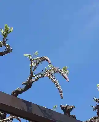 西方山極楽寺(岐阜県)