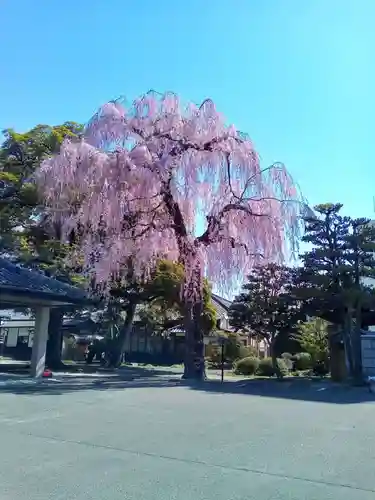 道仁寺(宮城県)