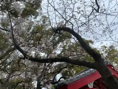 美奈宜神社(福岡県)