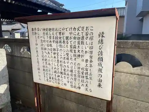 秋葉神社(東京都)