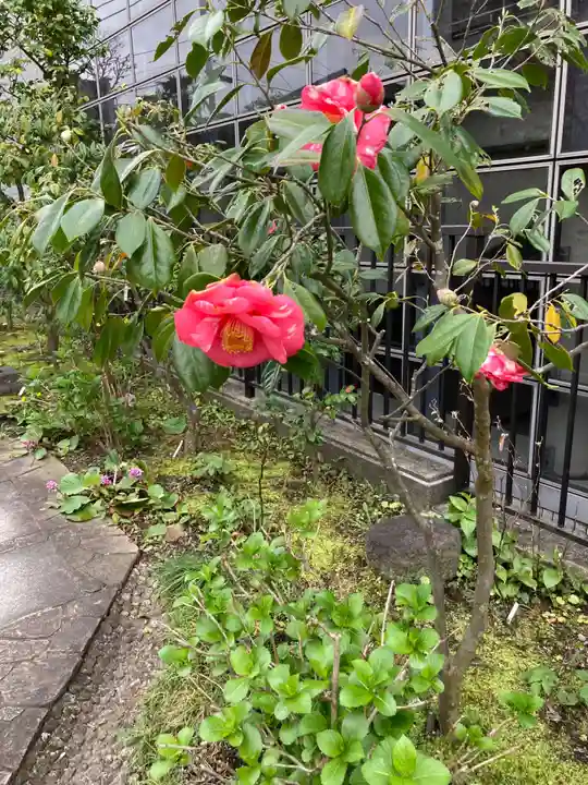 大巧寺(神奈川県)
