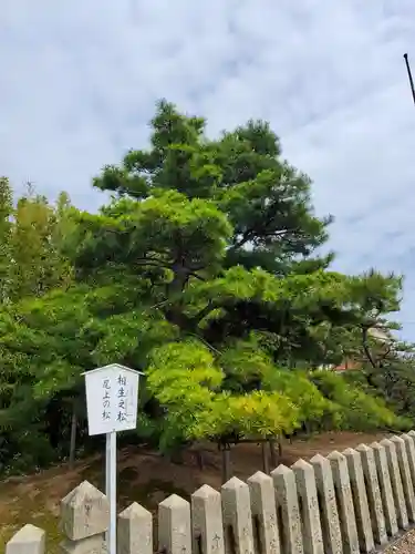 尾上神社の庭園