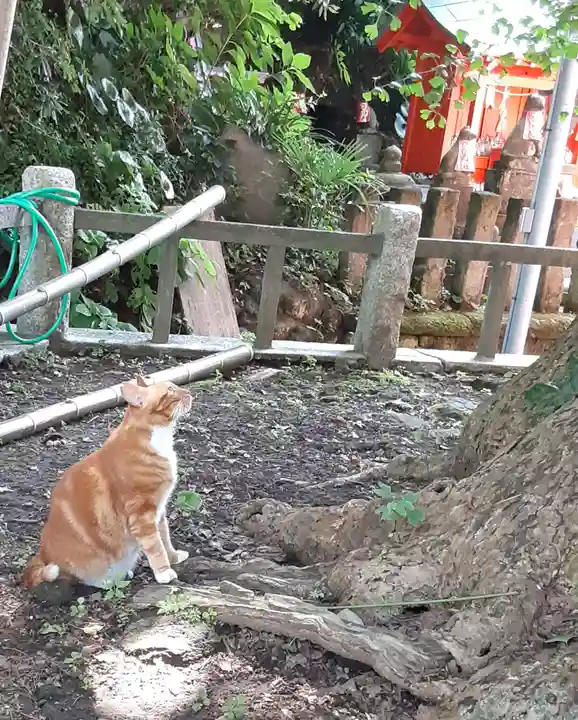 海南神社(神奈川県)