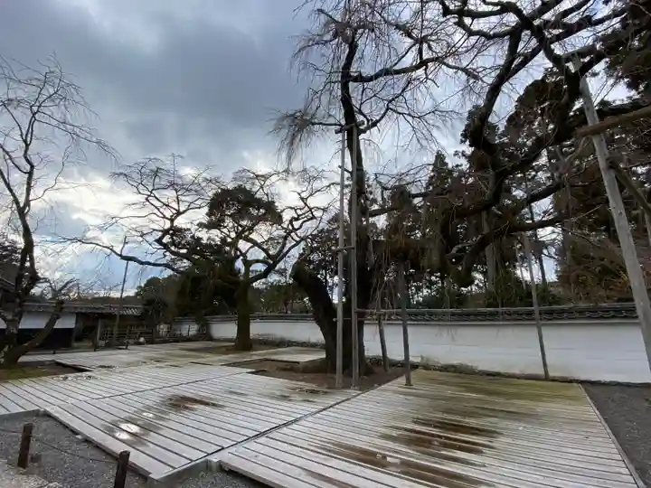 醍醐寺(上醍醐)(京都府)