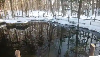 来運神社の周辺