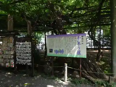 國領神社のその他建物