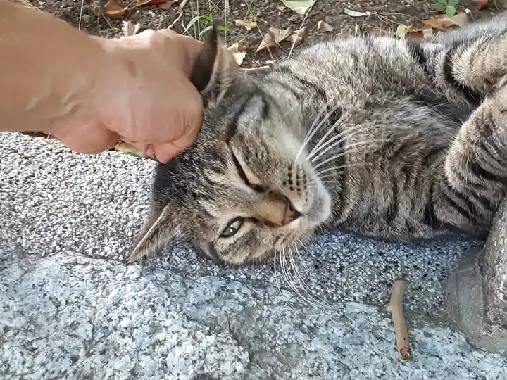 海南神社(神奈川県)