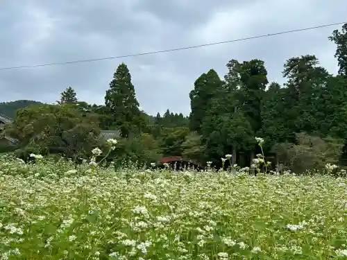 丹生都比売神社(和歌山県)