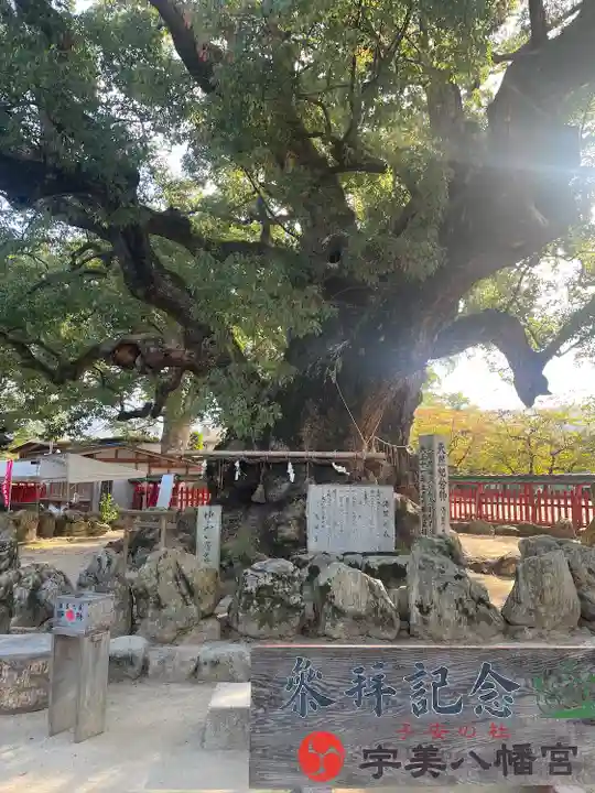 宇美八幡宮(福岡県)