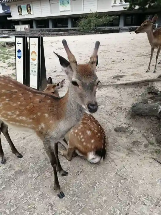 五劫院(奈良県)
