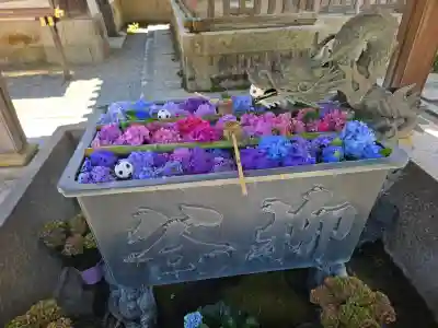 柳谷観音　楊谷寺(京都府)