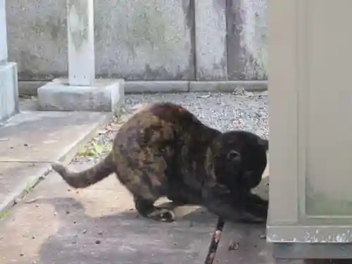 大報恩寺（千本釈迦堂）(京都府)